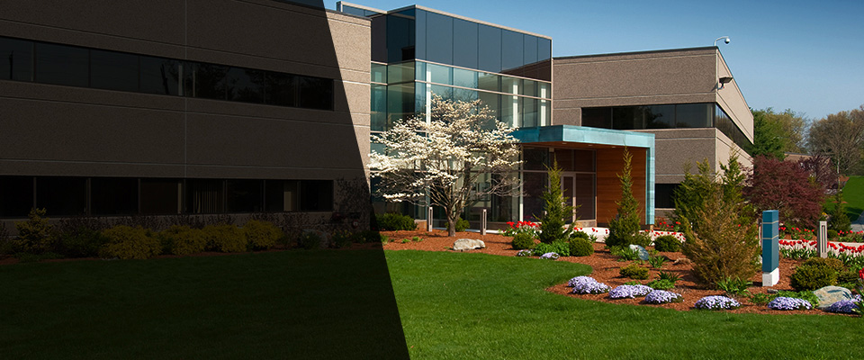 Lone Tree Landscapers