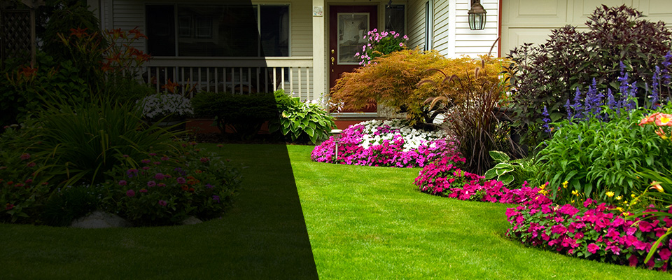 Lone Tree Landscapers